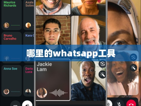 哪里的whatsapp工具