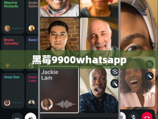 黑莓9900whatsapp