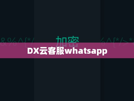 DX云客服whatsapp
