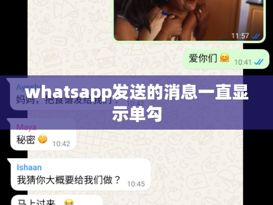 whatsapp发送的消息一直显示单勾