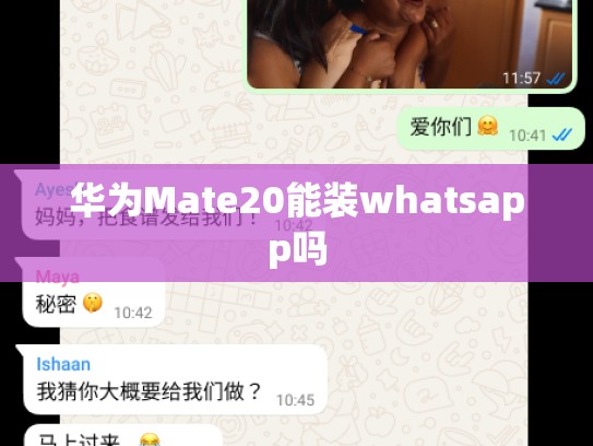 华为Mate20能装whatsapp吗