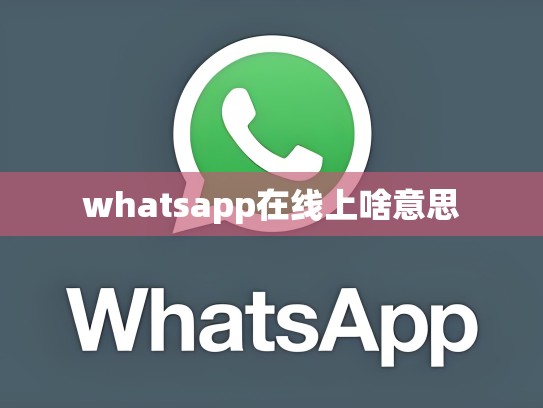 whatsapp在线上啥意思