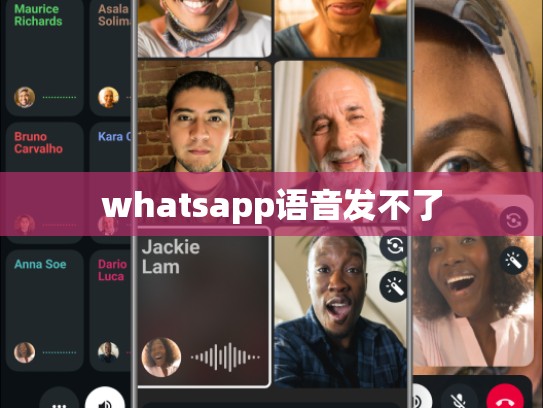 whatsapp语音发不了