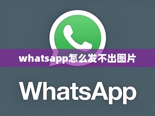 whatsapp怎么发不出图片