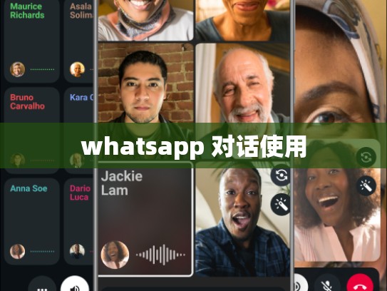 whatsapp 对话使用