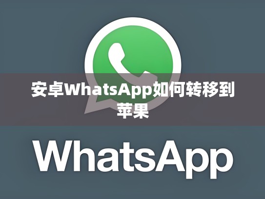 安卓WhatsApp如何转移到苹果