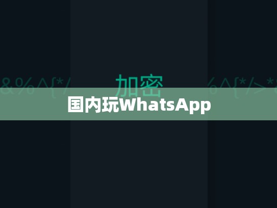国内玩WhatsApp