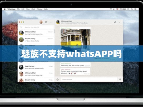 魅族不支持whatsAPP吗