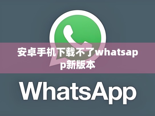 安卓手机下载不了whatsapp新版本