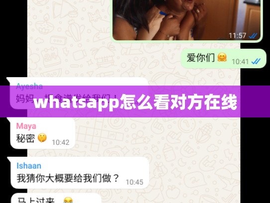 whatsapp怎么看对方在线