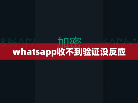 whatsapp收不到验证没反应