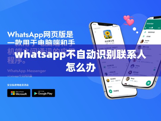 whatsapp不自动识别联系人怎么办
