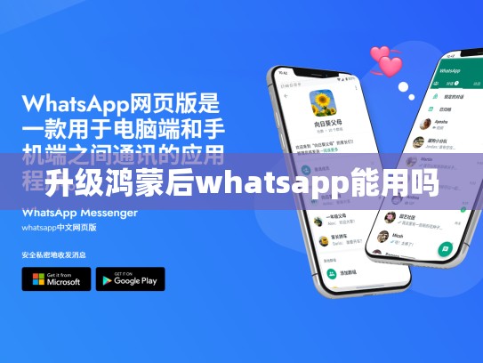 升级鸿蒙后whatsapp能用吗