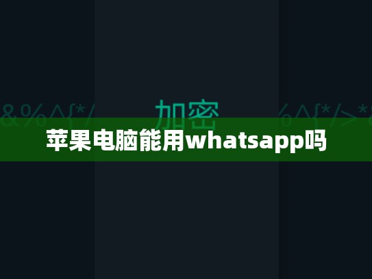 苹果电脑能用whatsapp吗