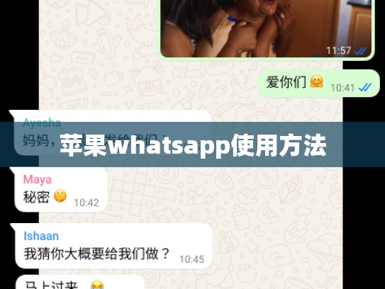 苹果whatsapp使用方法