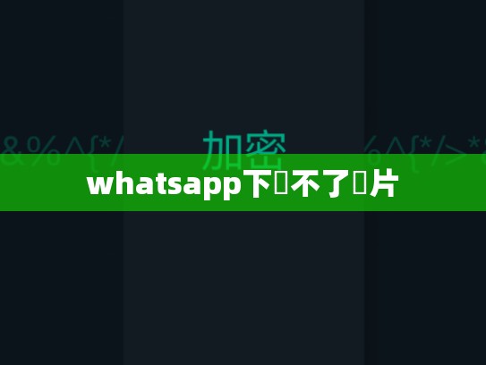whatsapp下載不了圖片