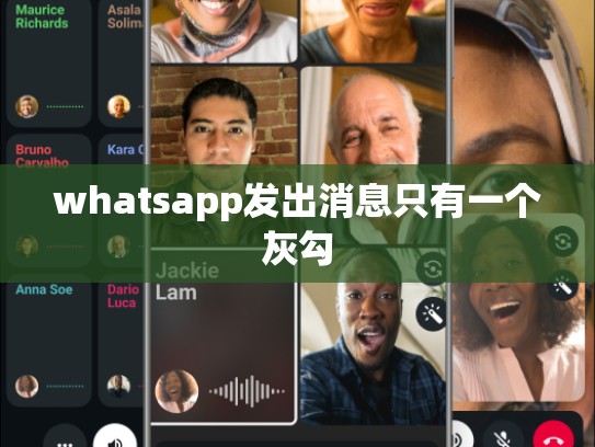 whatsapp发出消息只有一个灰勾