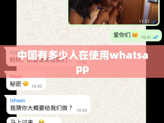 中国有多少人在使用whatsapp