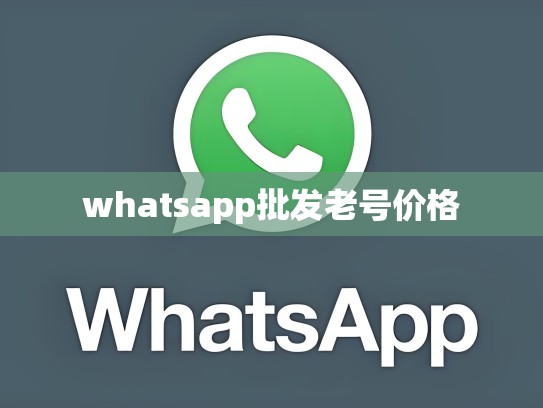 whatsapp批发老号价格