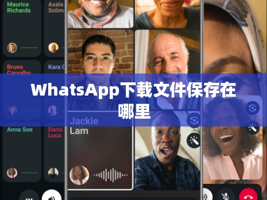 WhatsApp下载文件保存在哪里