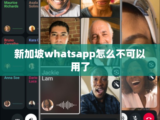 新加坡whatsapp怎么不可以用了