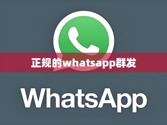 正规的whatsapp群发
