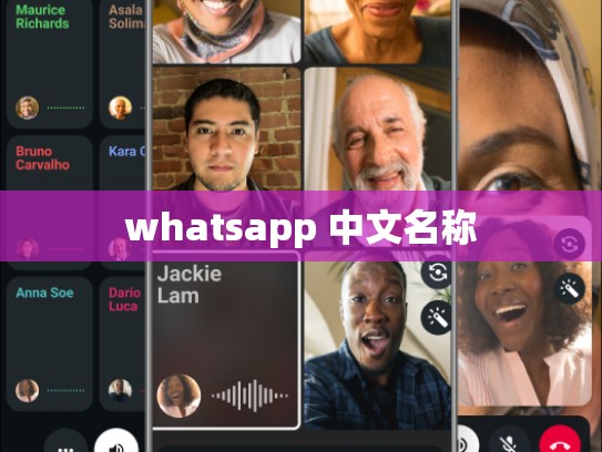 whatsapp 中文名称