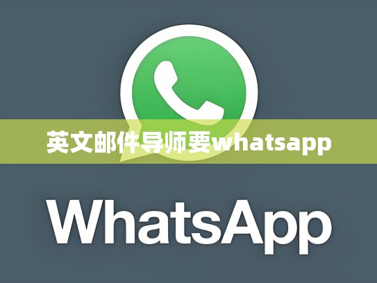 英文邮件导师要whatsapp