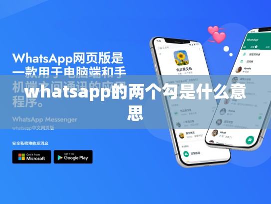 whatsapp的两个勾是什么意思
