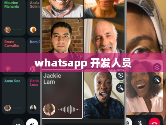 whatsapp 开发人员