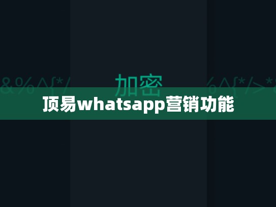 顶易whatsapp营销功能