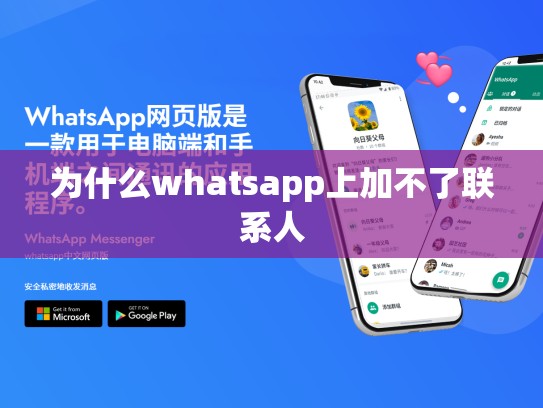 为什么whatsapp上加不了联系人