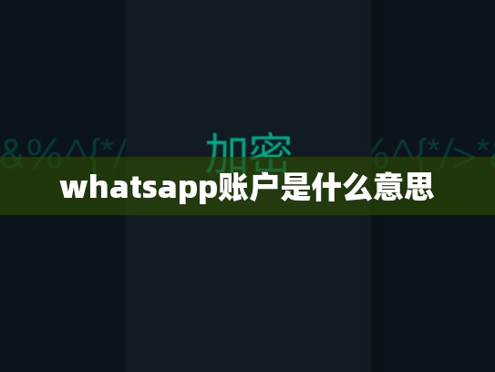 whatsapp账户是什么意思