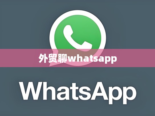 外贸聊whatsapp