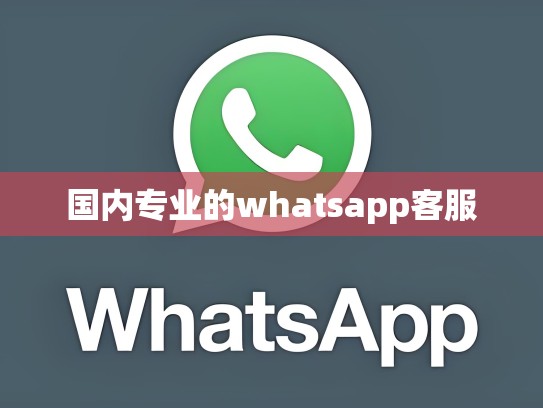 国内专业的whatsapp客服