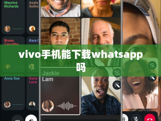 vivo手机能下载whatsapp吗