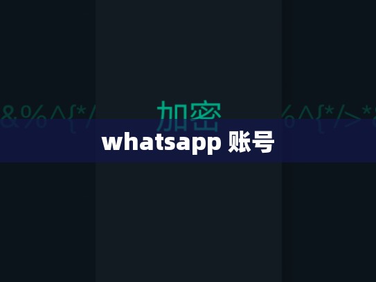 whatsapp 账号