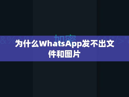 为什么WhatsApp发不出文件和图片