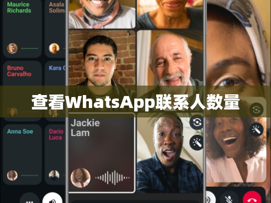 查看WhatsApp联系人数量