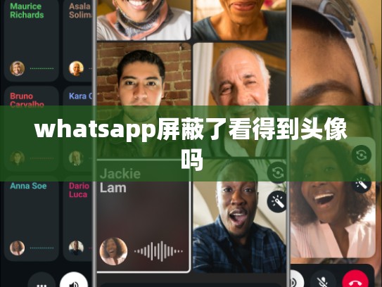 whatsapp屏蔽了看得到头像吗