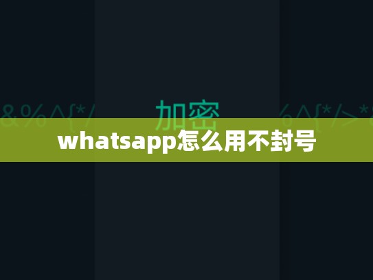 whatsapp怎么用不封号