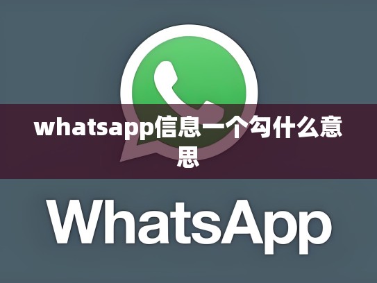 whatsapp信息一个勾什么意思