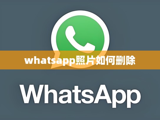 whatsapp照片如何删除