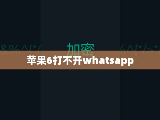 苹果6打不开whatsapp