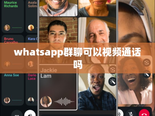 whatsapp群聊可以视频通话吗