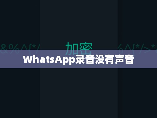 WhatsApp录音没有声音
