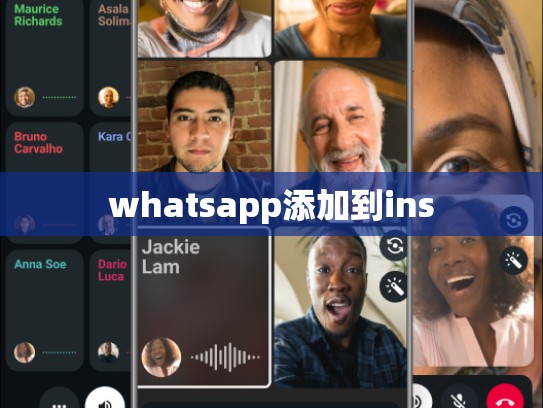 whatsapp添加到ins