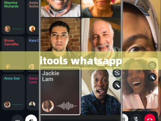 itools whatsapp