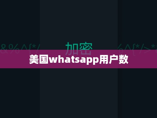 美国whatsapp用户数
