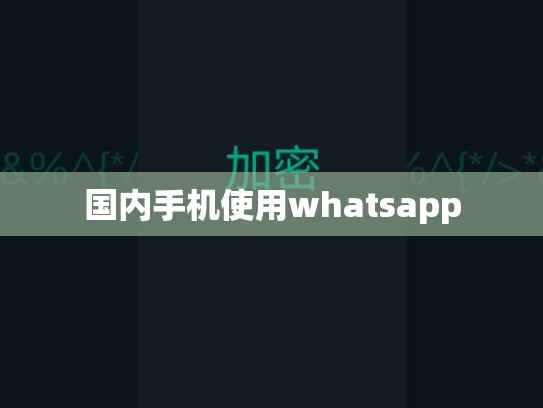 国内手机使用whatsapp